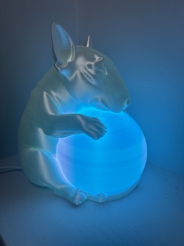 English bull terrier - bull,