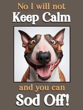 English Bull Terrier Dog Funny