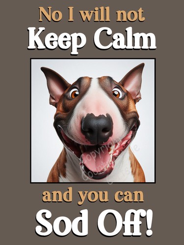 English bull terrier dog funny - bull,