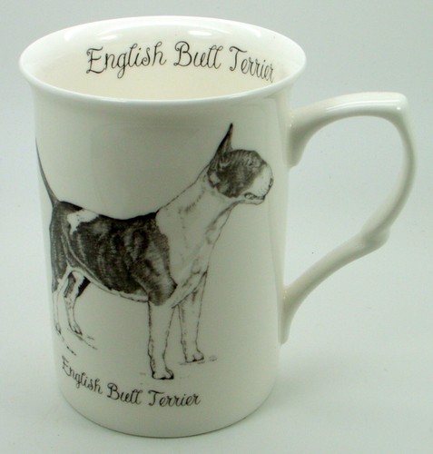 English bull - ~,