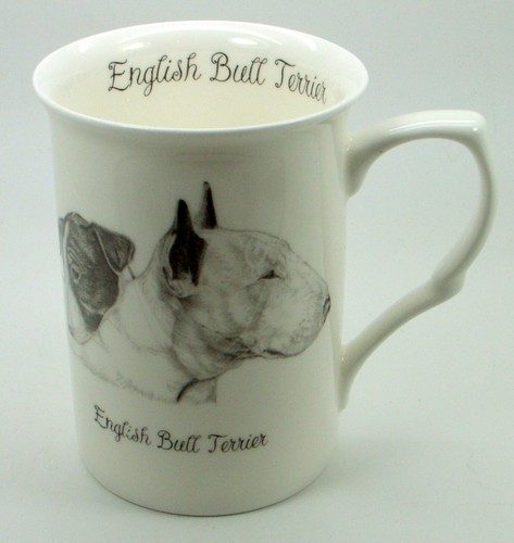 English bull terrier - bull, terrier(head)