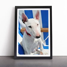 English Bull Terrier Wall Art