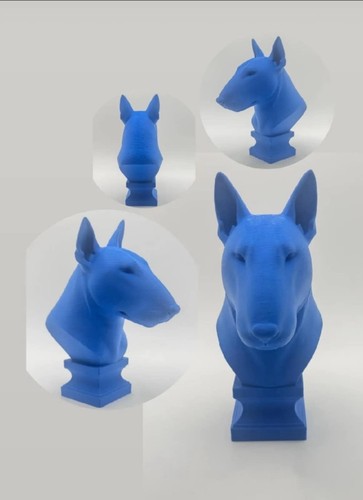 English bull terrier dog - english, bust