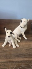Adult And Baby Bull Terrier