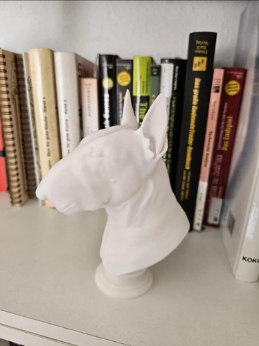 English bull terrier - bull,
