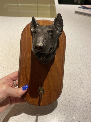 English bull terrier dog - terrier, lead