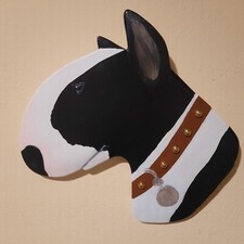 English bull terrier dog