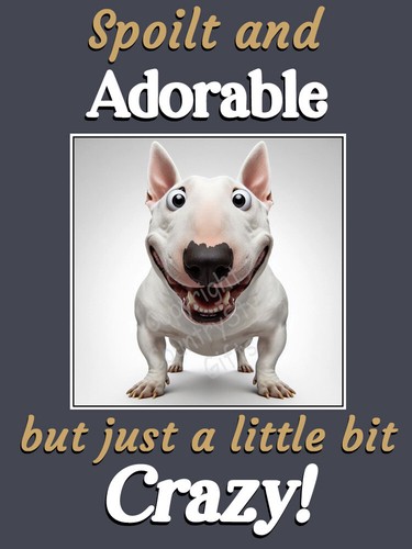 English bull terrier dog funny - terrier,
