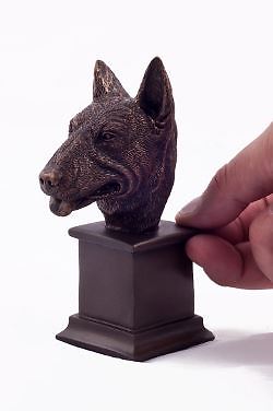 English bull terrier - 'english,