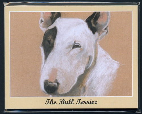 The bull terrier - bull,