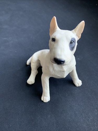 English bulk terrier - bulk, sitting