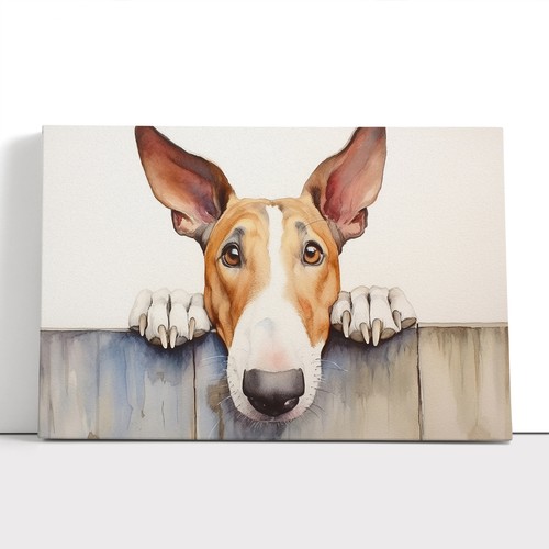 English bull terrier - terrier, dog