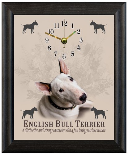 English bull terrier - , gift